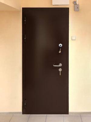 Техническая дверь (Каширское шоссе) Техническая дверь (Каширское шоссе)